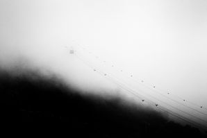 LOST IN THE FOG