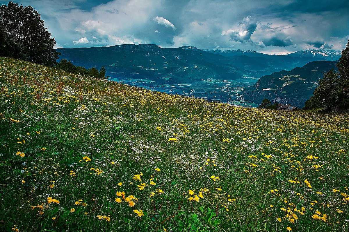 PRATI DEL COLLE Photoblog