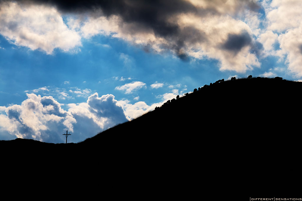 PRIMA DELLA TEMPESTA Photoblog