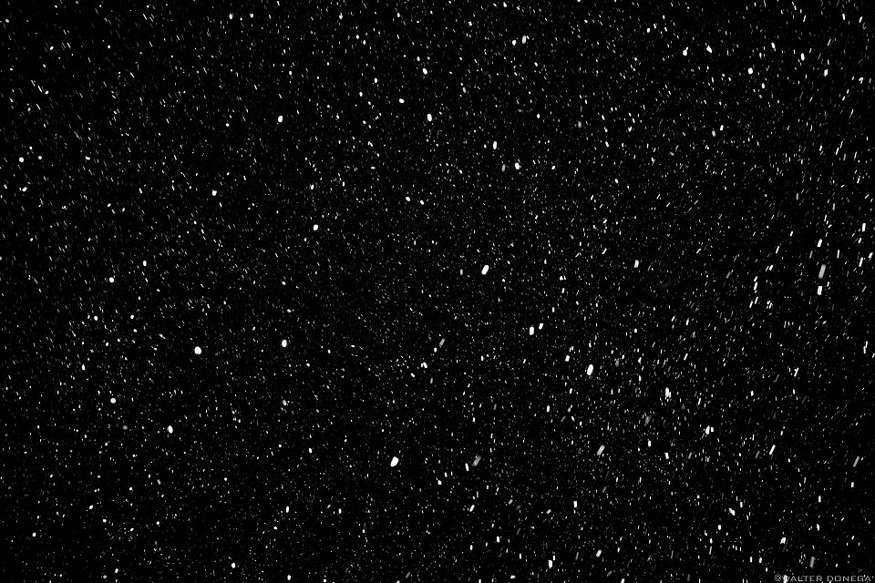 Nevica Photoblog