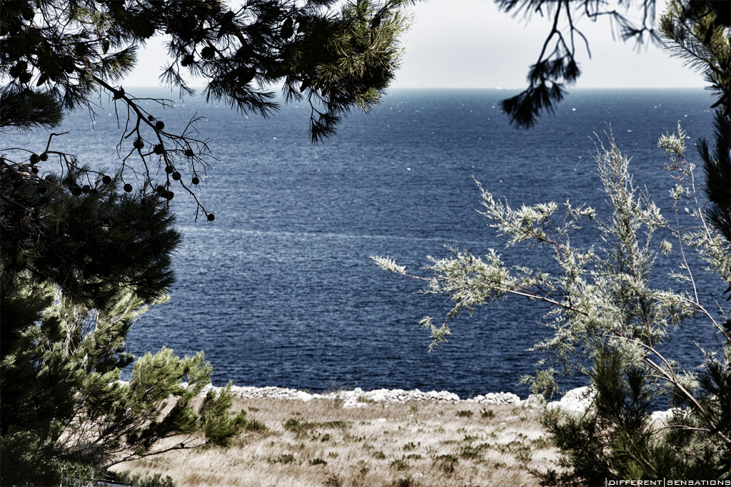 QUELLO SQUARCIO DI MARE BLU... Photoblog