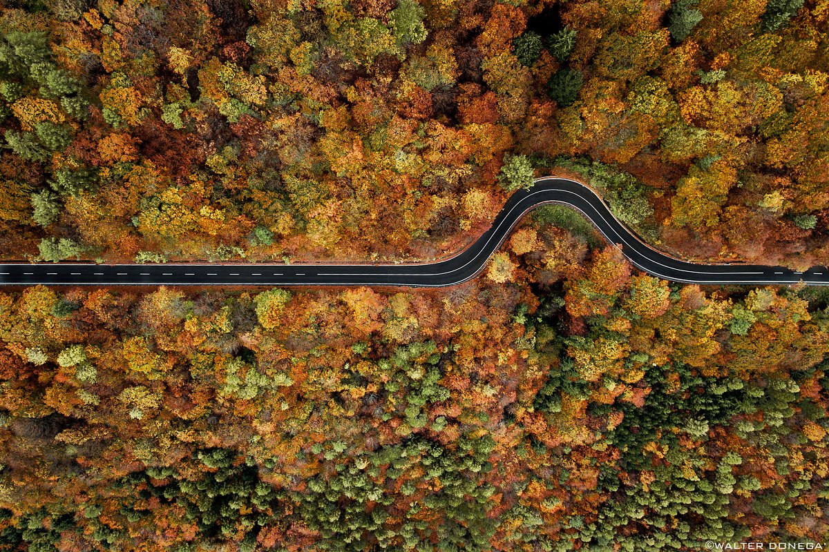 Segni vitali: autunno Photoblog