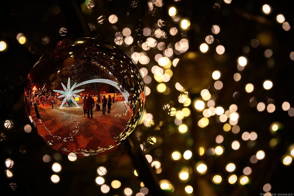 La stella di Natale di Bolzano Photoblog