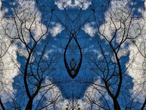 Gli alberi di Rorschach