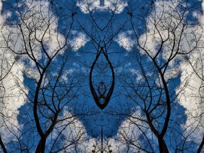 Gli alberi di Rorschach