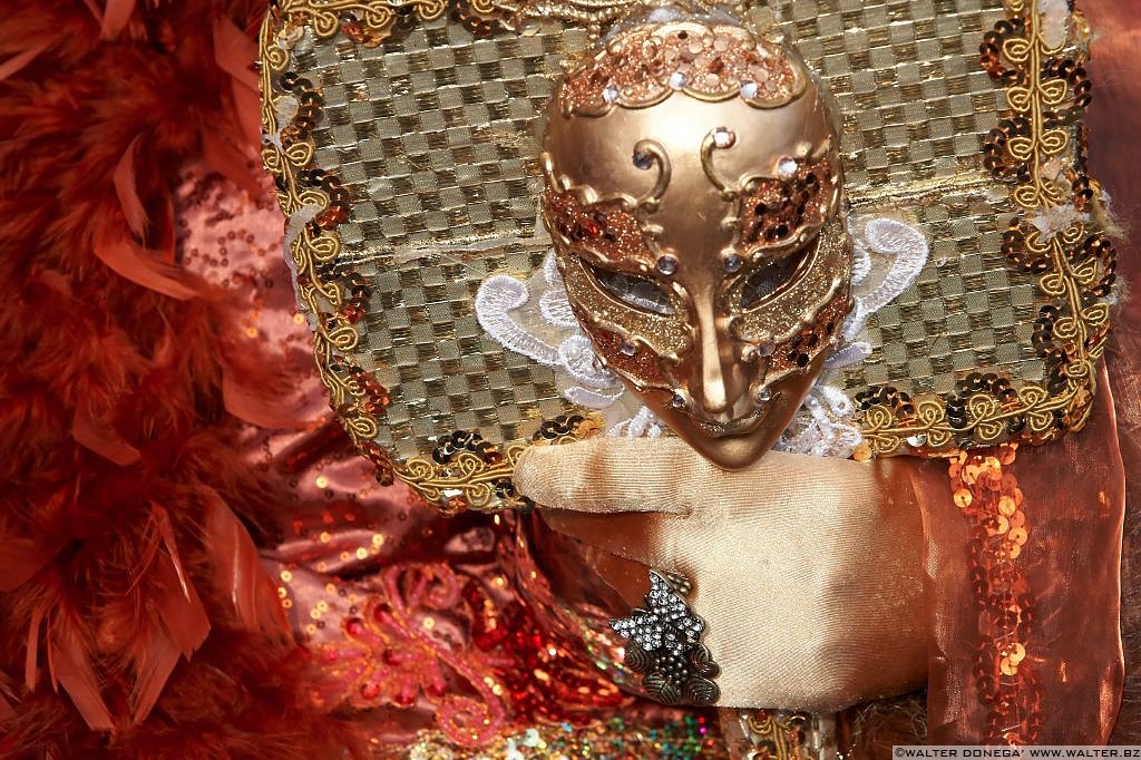 67 Le mani delle maschere al carnevale di Venezia 2013